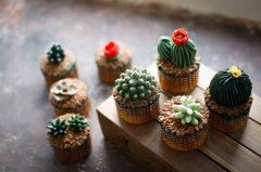 学习烘培西点蛋糕的人越来越多，这是为什么呢？_学西点好就业么？