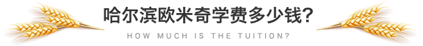 哈尔滨欧米奇学费多少钱